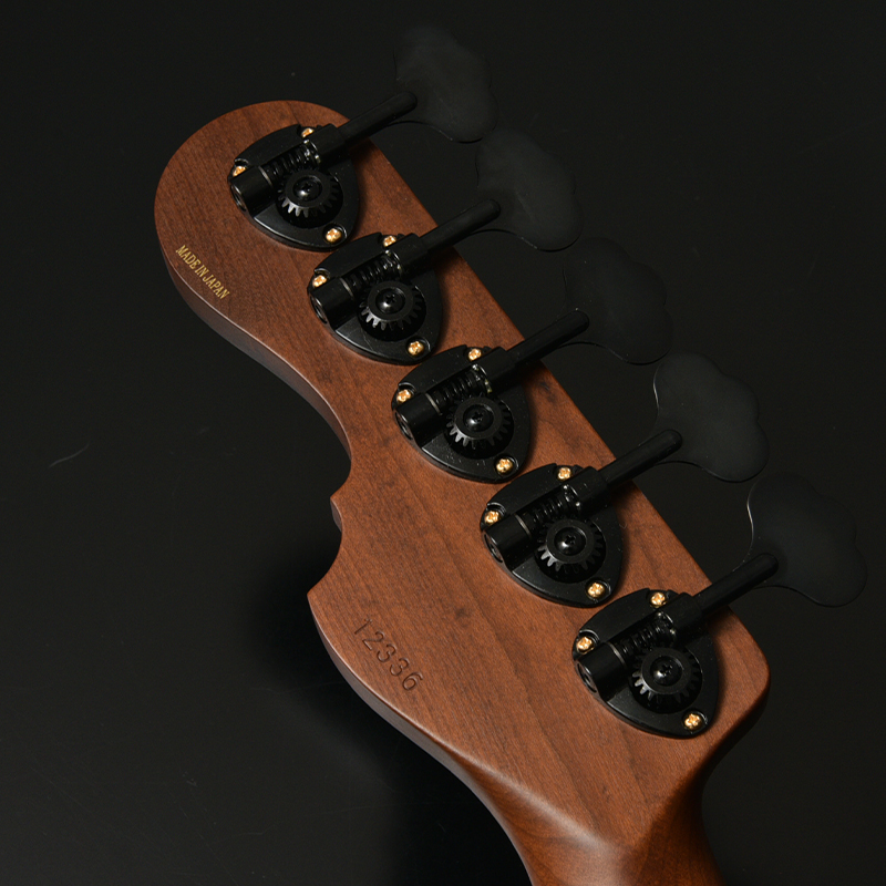 ギター Phase Five ギター Phase Five ギター Phase Five ギター Phase Five ギター Phase